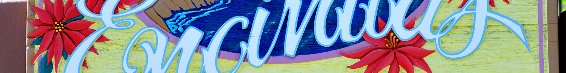 Encinitas Banner